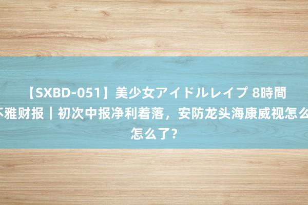 【SXBD-051】美少女アイドルレイプ 8時間 V不雅财报｜初次中报净利着落，安防龙头海康威视怎么了？