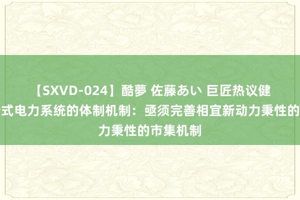 【SXVD-024】酷夢 佐藤あい 巨匠热议健全相宜新式电力系统的体制机制：亟须完善相宜新动力秉性的市集机制