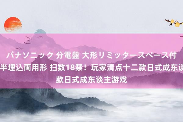 パナソニック 分電盤 大形リミッタースペース付 露出・半埋込両用形 扫数18禁！玩家清点十二款日式成东谈主游戏