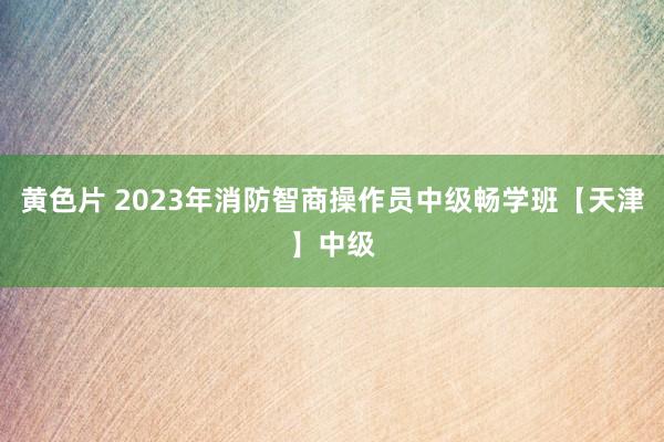 黄色片 2023年消防智商操作员中级畅学班【天津】中级