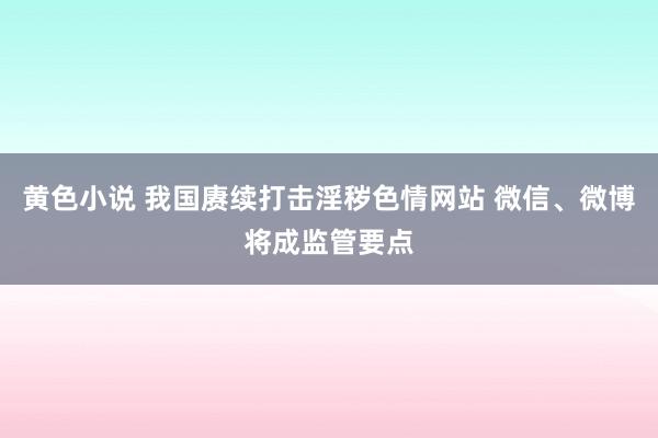 黄色小说 我国赓续打击淫秽色情网站 微信、微博将成监管要点