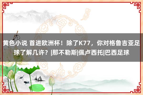 黄色小说 首进欧洲杯！除了K77，你对格鲁吉亚足球了解几许？|那不勒斯|佩卢西托|巴西足球