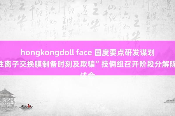 hongkongdoll face 国度要点研发谋划“碱性离子交换膜制备时刻及欺骗”技俩组召开阶段分解陈述会