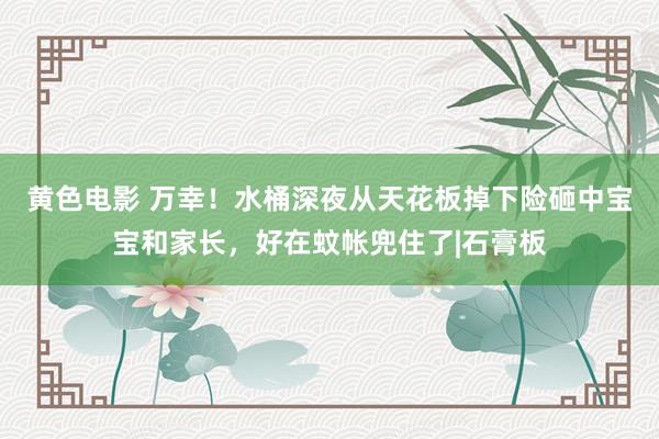 黄色电影 万幸！水桶深夜从天花板掉下险砸中宝宝和家长，好在蚊帐兜住了|石膏板