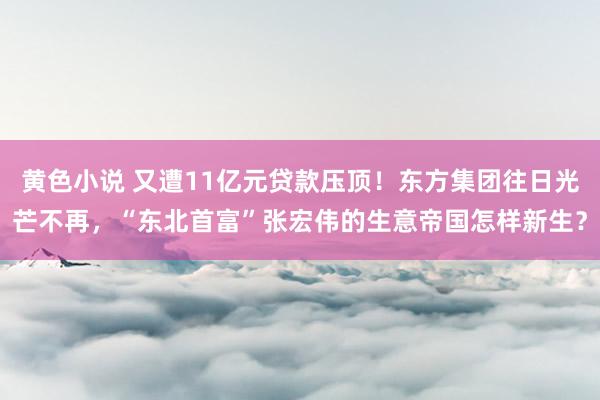 黄色小说 又遭11亿元贷款压顶！东方集团往日光芒不再，“东北首富”张宏伟的生意帝国怎样新生？