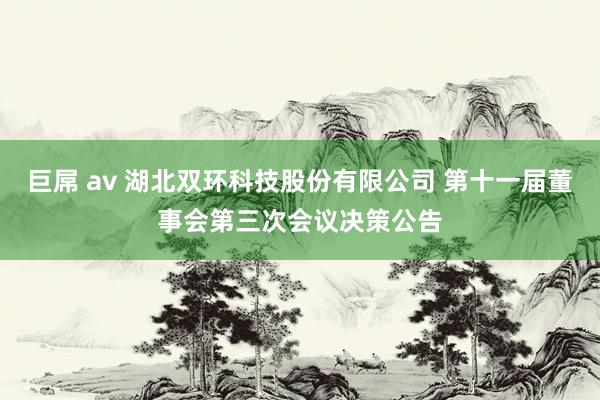 巨屌 av 湖北双环科技股份有限公司 第十一届董事会第三次会议决策公告